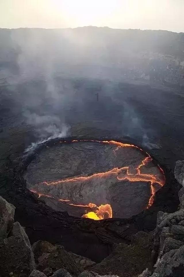 极地大逃亡